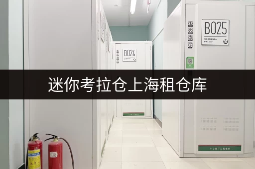 迷你考拉仓上海租仓库,揭秘一平米价格背后的省心存储方案 迷你考拉仓上海租仓库,揭秘一平米价格背后的省心存储方案