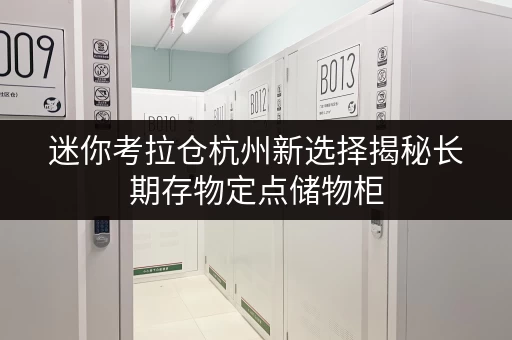 迷你考拉仓杭州新选择揭秘长期存物定点储物柜，存取便利与全时段服务双重保障