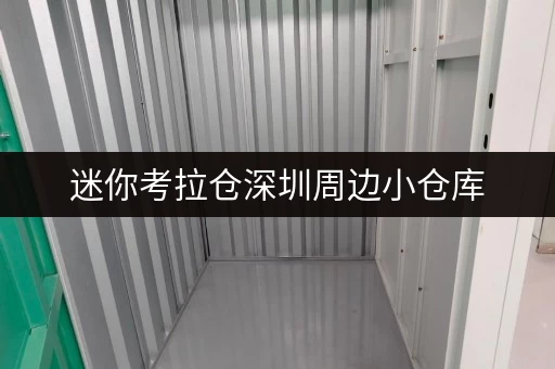 迷你考拉仓深圳周边小仓库,存取无忧,全时段服务助您轻松管理 迷你考拉仓深圳周边小仓库,存取无忧,全时段服务助您轻松管理