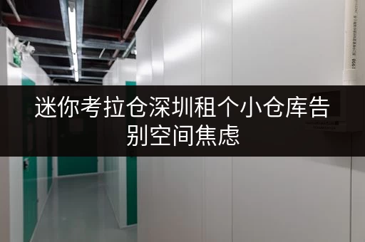 迷你考拉仓深圳租个小仓库告别空间焦虑，随存随取，工具设备轻松收纳！