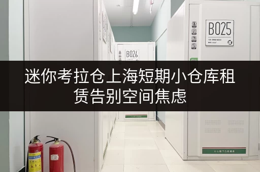 迷你考拉仓上海短期小仓库租赁告别空间焦虑,货物存放更省心! 迷你考拉仓上海短期小仓库租赁告别空间焦虑,货物存放更省心!