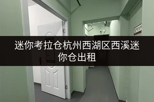 迷你考拉仓杭州西湖区西溪迷你仓出租,释放办公空间新选择 迷你考拉仓杭州西湖区西溪迷你仓出租,释放办公空间新选择