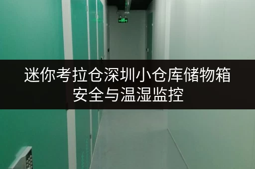迷你考拉仓深圳小仓库储物箱安全与温湿监控,守护您的每一件宝贝 迷你考拉仓深圳小仓库储物箱安全与温湿监控,守护您的每一件宝贝