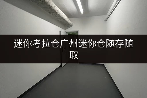 迷你考拉仓广州迷你仓随存随取,便捷生活新选择 迷你考拉仓广州迷你仓随存随取,便捷生活新选择