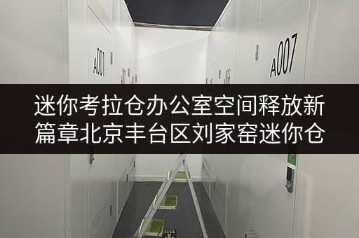 迷你考拉仓办公室空间释放新篇章北京丰台区刘家窑迷你仓，办公好帮手