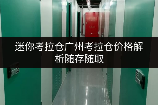 迷你考拉仓广州考拉仓价格解析随存随取，便捷无忧
