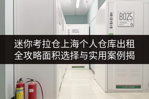 迷你考拉仓上海个人仓库出租全攻略面积选择与实用案例揭秘 迷你考拉仓上海个人仓库出租全攻略面积选择与实用案例揭秘
