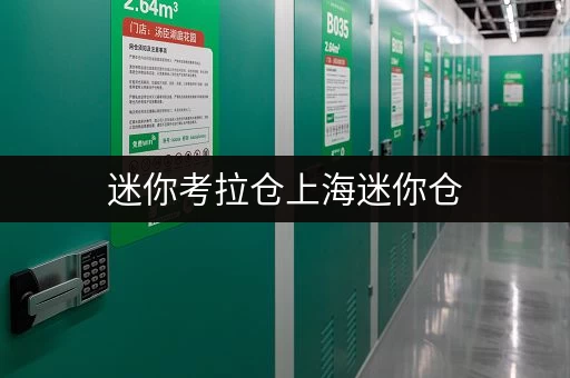 迷你考拉仓上海迷你仓,让您的设备工具随存随取更便捷 迷你考拉仓上海迷你仓,让您的设备工具随存随取更便捷