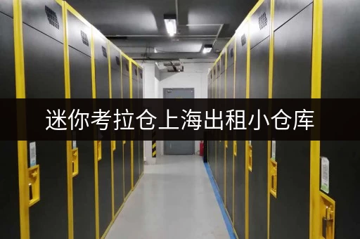迷你考拉仓上海出租小仓库,如何选?揭秘正规又便宜的办公空间释放秘籍! 迷你考拉仓上海出租小仓库,如何选?揭秘正规又便宜的办公空间释放秘籍!