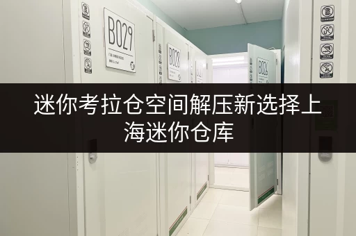 迷你考拉仓空间解压新选择上海迷你仓库,小仓库出租,让家更宜居 迷你考拉仓空间解压新选择上海迷你仓库,小仓库出租,让家更宜居
