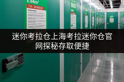 迷你考拉仓上海考拉迷你仓官网探秘存取便捷,全天候服务,您的私人储物空间 迷你考拉仓上海考拉迷你仓官网探秘存取便捷,全天候服务,您的私人储物空间
