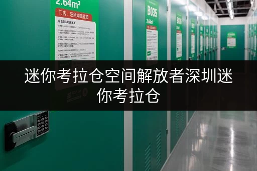 迷你考拉仓空间解放者深圳迷你考拉仓，让办公用品存放更轻松