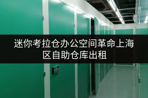 迷你考拉仓办公空间革命上海区自助仓库出租,轻松释放办公空间 迷你考拉仓办公空间革命上海区自助仓库出租,轻松释放办公空间