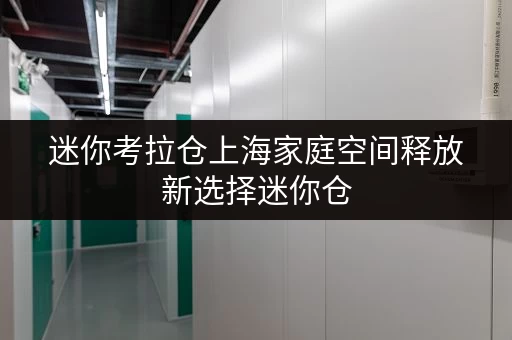迷你考拉仓上海家庭空间释放新选择迷你仓,品质生活的好帮手 迷你考拉仓上海家庭空间释放新选择迷你仓,品质生活的好帮手