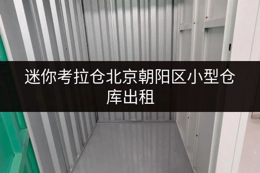 迷你考拉仓北京朝阳区小型仓库出租,安全温湿监控,让您存储无忧 迷你考拉仓北京朝阳区小型仓库出租,安全温湿监控,让您存储无忧