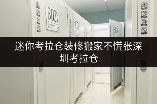 迷你考拉仓装修搬家不慌张深圳考拉仓，价格透明，临时存储方案全攻略