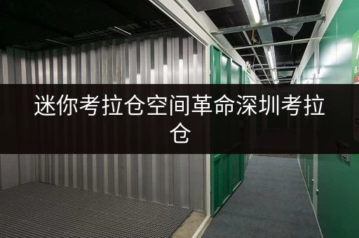 迷你考拉仓空间革命深圳考拉仓,解锁家庭空间新境界 迷你考拉仓空间革命深圳考拉仓,解锁家庭空间新境界