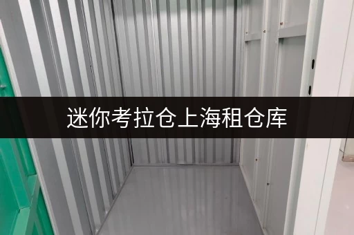 迷你考拉仓上海租仓库,揭秘安全与温湿监控下的费用真相 迷你考拉仓上海租仓库,揭秘安全与温湿监控下的费用真相