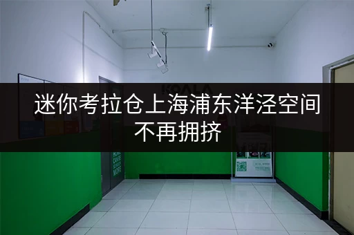迷你考拉仓上海浦东洋泾空间不再拥挤,迷你仓释放家的新生活 迷你考拉仓上海浦东洋泾空间不再拥挤,迷你仓释放家的新生活