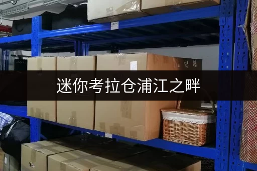 迷你考拉仓浦江之畔,便捷随行——闵行区浦江物品寄存全攻略 迷你考拉仓浦江之畔,便捷随行——闵行区浦江物品寄存全攻略