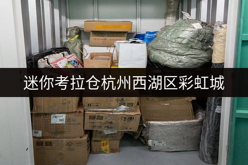 迷你考拉仓杭州西湖区彩虹城，安全温控，迷你仓为您守护珍贵记忆