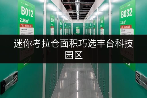 迷你考拉仓面积巧选丰台科技园区,迷你仓助您轻松管理空间 迷你考拉仓面积巧选丰台科技园区,迷你仓助您轻松管理空间