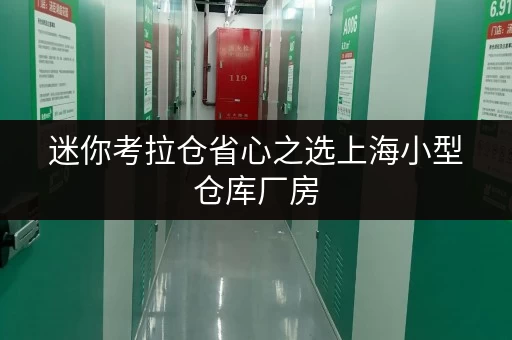 迷你考拉仓省心之选上海小型仓库厂房,打造货物存放新境界 迷你考拉仓省心之选上海小型仓库厂房,打造货物存放新境界