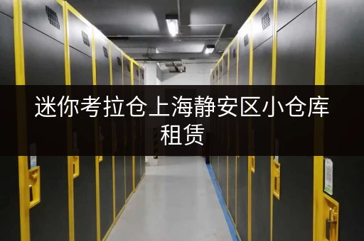 迷你考拉仓上海静安区小仓库租赁,打造家庭空间新境界 迷你考拉仓上海静安区小仓库租赁,打造家庭空间新境界