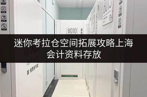 迷你考拉仓空间拓展攻略上海会计资料存放,选对仓型轻松应对! 迷你考拉仓空间拓展攻略上海会计资料存放,选对仓型轻松应对!