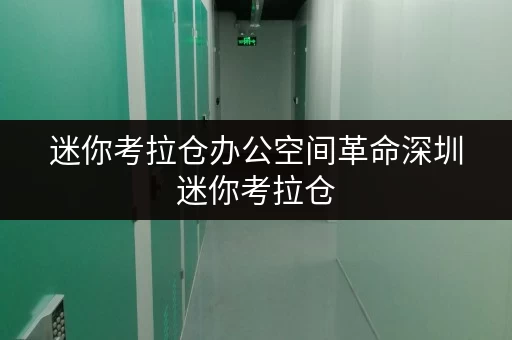 迷你考拉仓办公空间革命深圳迷你考拉仓，揭秘高效办公用品存放新选择
