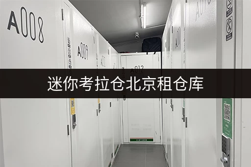 迷你考拉仓北京租仓库,随存随取,工具装备轻松管理! 迷你考拉仓北京租仓库,随存随取,工具装备轻松管理!