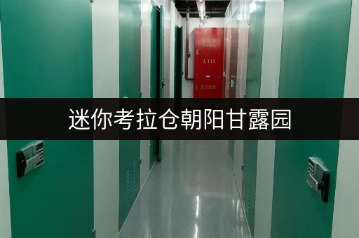 迷你考拉仓朝阳甘露园,迷你仓出租,便捷生活新选择 迷你考拉仓朝阳甘露园,迷你仓出租,便捷生活新选择