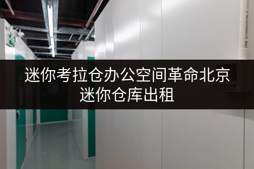 迷你考拉仓办公空间革命北京迷你仓库出租，轻松释放办公空间压力