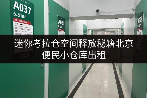 迷你考拉仓空间释放秘籍北京便民小仓库出租,让办公用品存放不再头疼 迷你考拉仓空间释放秘籍北京便民小仓库出租,让办公用品存放不再头疼