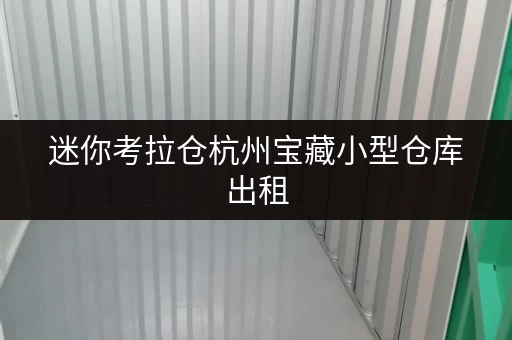 迷你考拉仓杭州宝藏小型仓库出租,释放家庭空间,提升生活品质全攻略 迷你考拉仓杭州宝藏小型仓库出租,释放家庭空间,提升生活品质全攻略