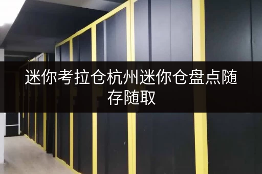 迷你考拉仓杭州迷你仓盘点随存随取，便捷生活新选择