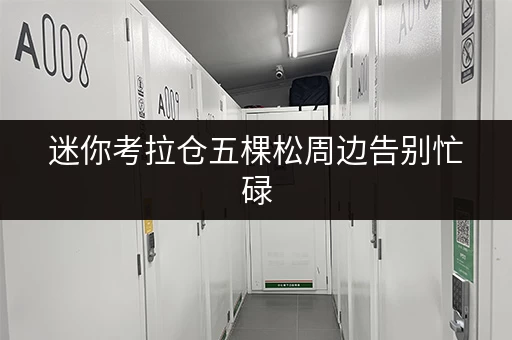 迷你考拉仓五棵松周边告别忙碌，尽享便捷——北京海淀区迷你仓全时段服务体验