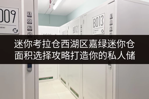 迷你考拉仓西湖区嘉绿迷你仓面积选择攻略打造你的私人储物空间