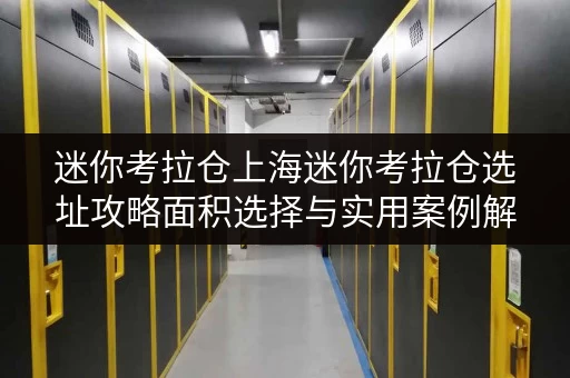 迷你考拉仓上海迷你考拉仓选址攻略面积选择与实用案例解析
