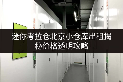 迷你考拉仓北京小仓库出租揭秘价格透明攻略，省钱技巧大公开！