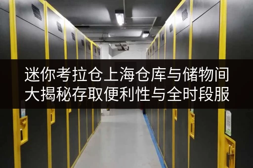 迷你考拉仓上海仓库与储物间大揭秘存取便利性与全时段服务哪家强? 迷你考拉仓上海仓库与储物间大揭秘存取便利性与全时段服务哪家强?