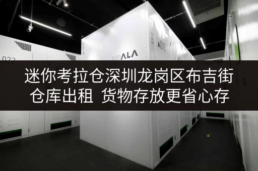 迷你考拉仓深圳龙岗区布吉街仓库出租 货物存放更省心存储方案全解析 迷你考拉仓深圳龙岗区布吉街仓库出租 货物存放更省心存储方案全解析