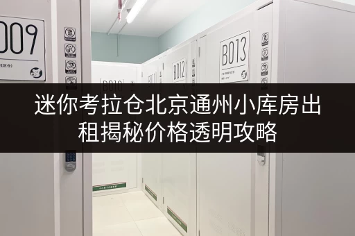 迷你考拉仓北京通州小库房出租揭秘价格透明攻略,轻松省钱无忧储物 迷你考拉仓北京通州小库房出租揭秘价格透明攻略,轻松省钱无忧储物
