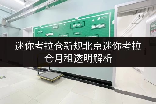 迷你考拉仓新规北京迷你考拉仓月租透明解析，存取无忧，全天候服务！