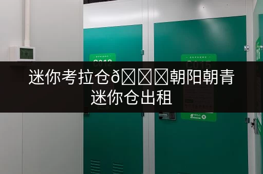 迷你考拉仓🌟朝阳朝青迷你仓出租，安全守护与温湿监控双重保障🌟