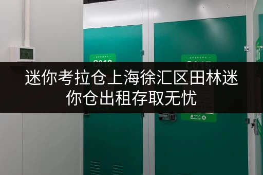 迷你考拉仓上海徐汇区田林迷你仓出租存取无忧，全时段服务，打造您的便捷储物空间