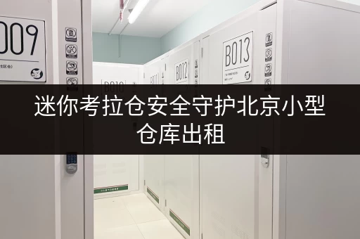 迷你考拉仓安全守护北京小型仓库出租,揭秘收费与温湿监控那些事儿 迷你考拉仓安全守护北京小型仓库出租,揭秘收费与温湿监控那些事儿