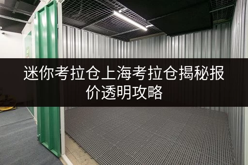 迷你考拉仓上海考拉仓揭秘报价透明攻略，省钱技巧大公开！