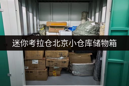 迷你考拉仓北京小仓库储物箱,随存随取,让空间更灵动 迷你考拉仓北京小仓库储物箱,随存随取,让空间更灵动