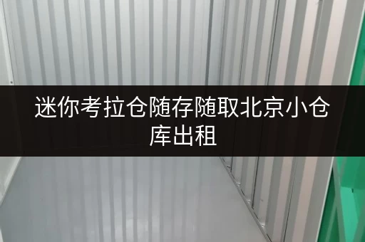 迷你考拉仓随存随取北京小仓库出租，释放空间，生活更便捷